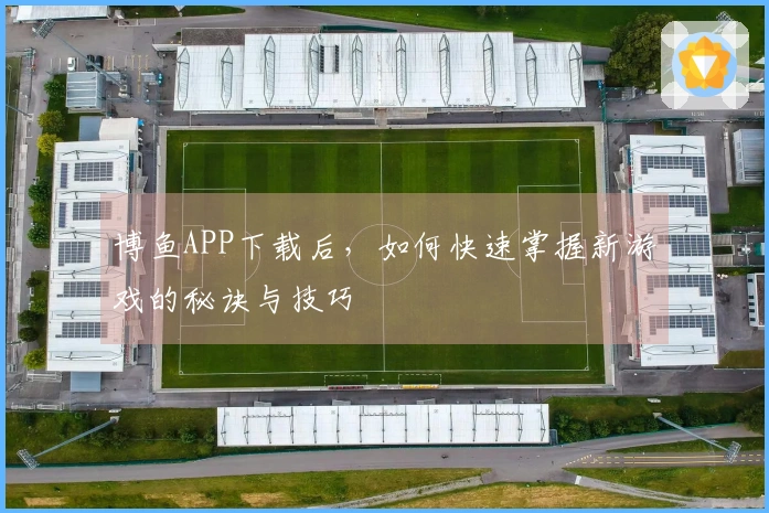 博鱼APP下载后，如何快速掌握新游戏的秘诀与技巧