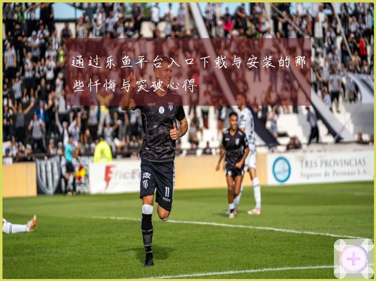 通过乐鱼平台入口下载与安装的那些忏悔与突破心得